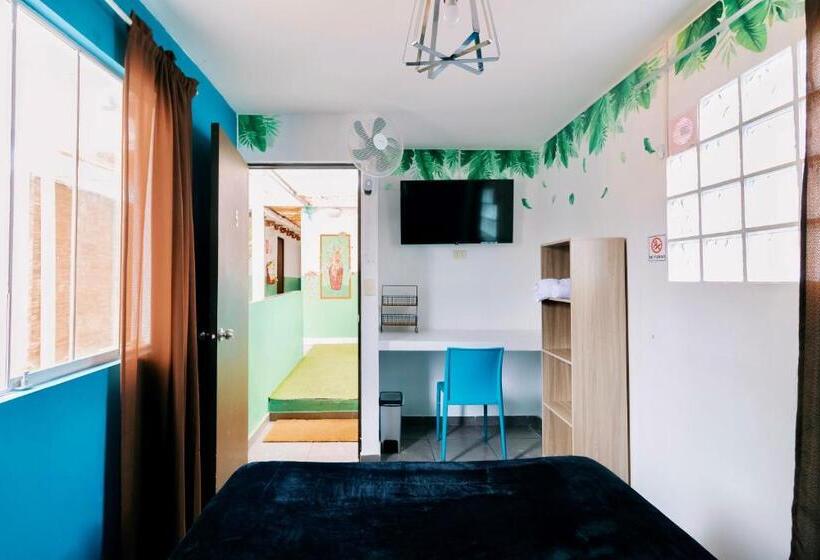 스탠다드 룸 공동 욕실, The Secret Garden Hostel