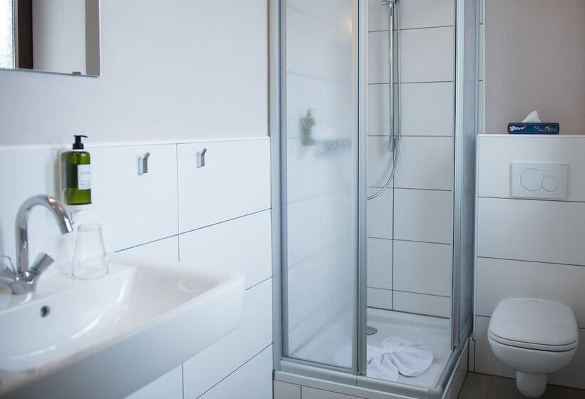 غرفة قياسية فردية, Parkhotel Schillerhain