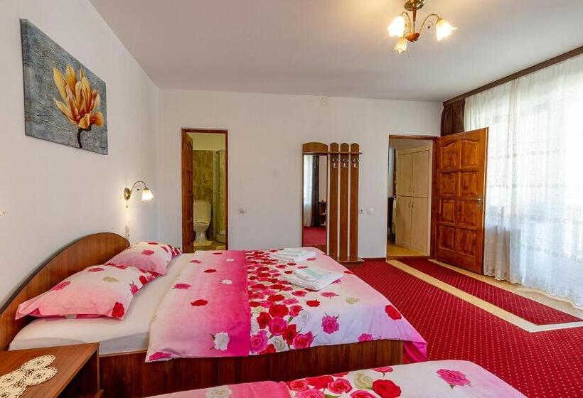 آپارتمان سوپریور 1 خوابه, Casa Steluta
