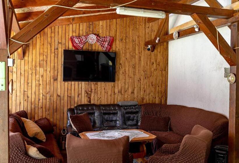 خانه 1 خوابه, Casa Steluta