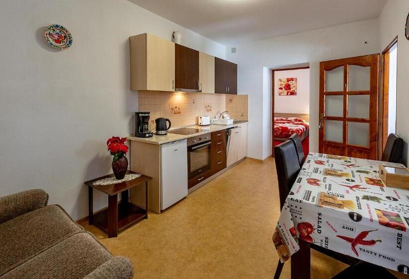 آپارتمان سوپریور 1 خوابه, Casa Steluta