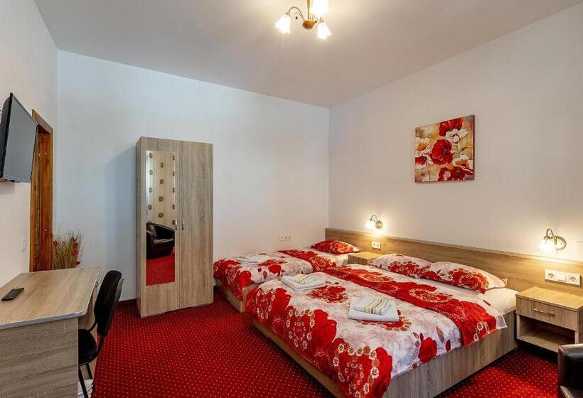 آپارتمان سوپریور 1 خوابه, Casa Steluta
