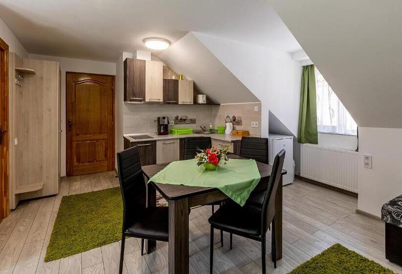 استودیوی استاندارد, Casa Steluta