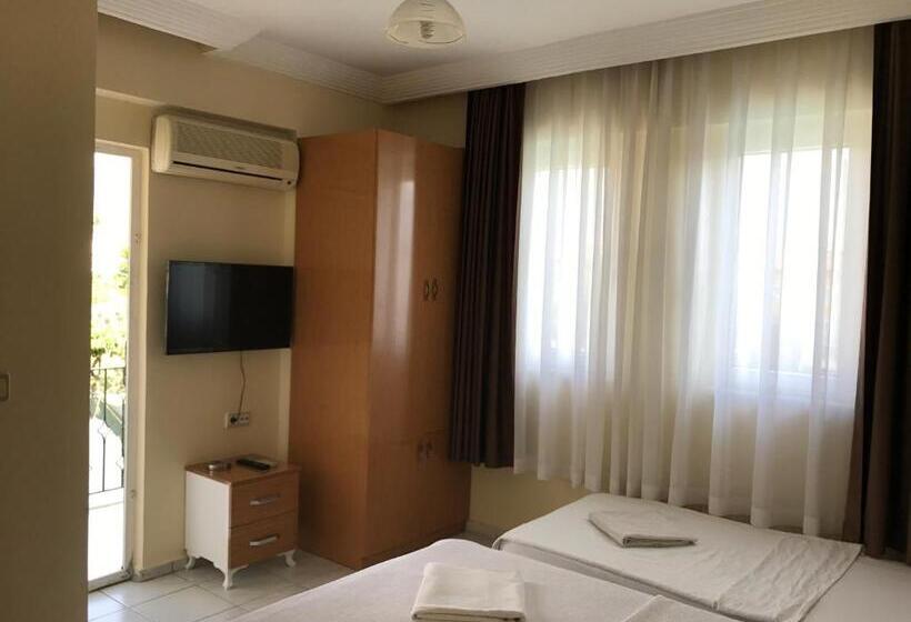اتاق استاندارد سه نفره, Cam