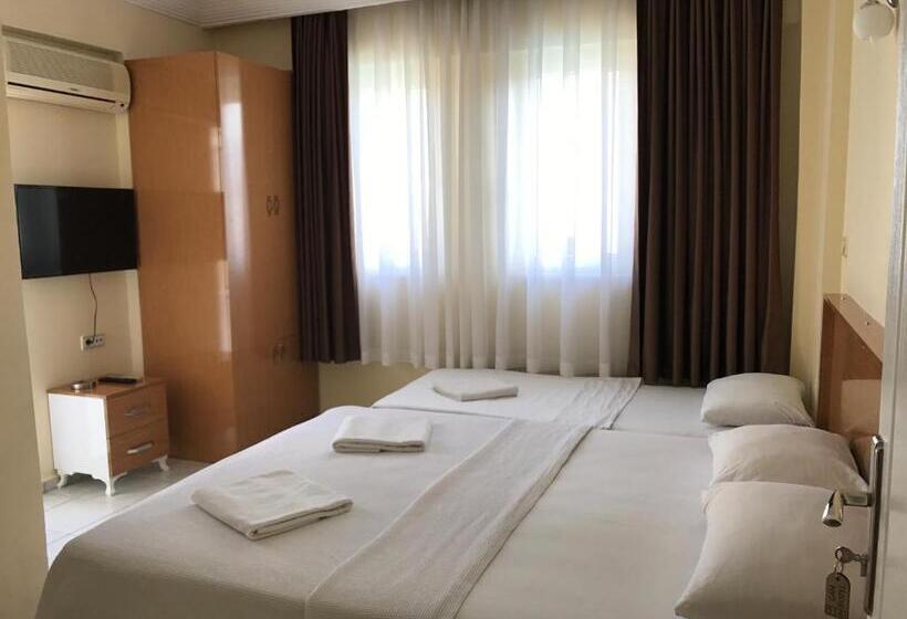 اتاق استاندارد سه نفره, Cam