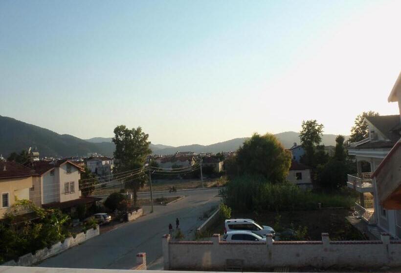اتاق خانوادگی, Cam
