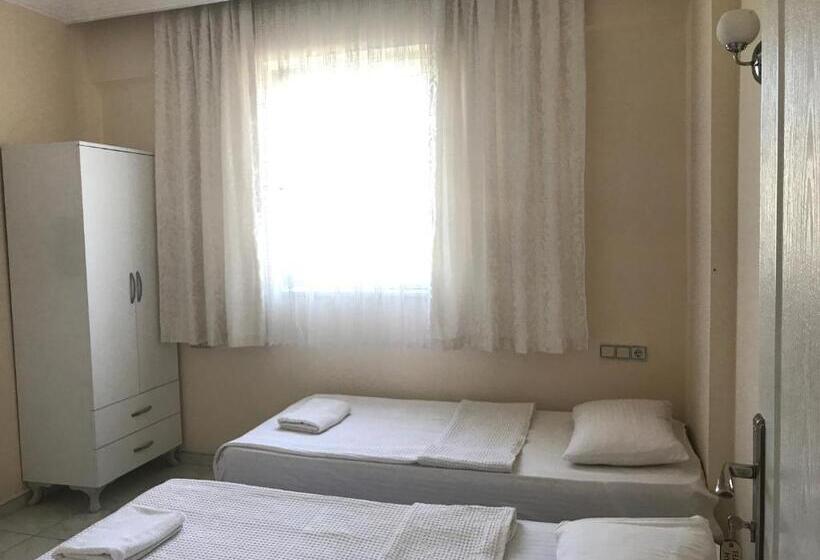 اتاق اکونومی, Cam