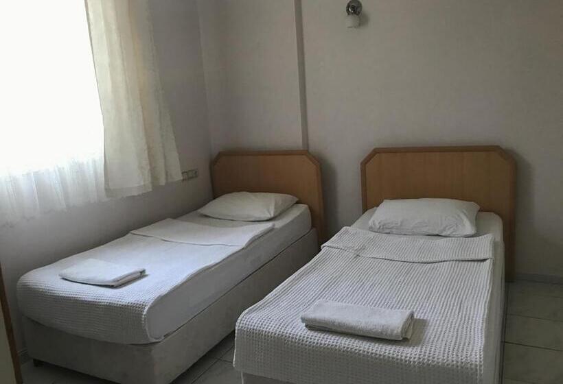 اتاق اکونومی, Cam
