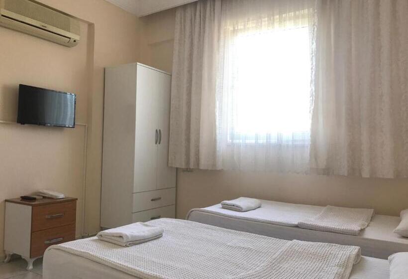 اتاق اکونومی, Cam