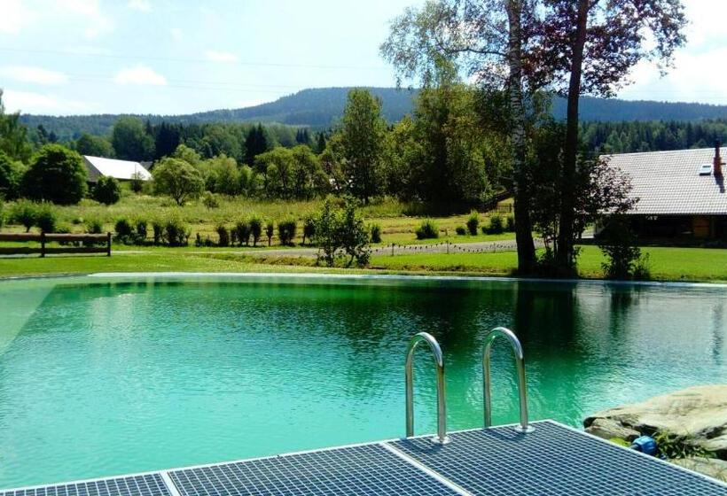 Четырехместный Номер Стандарт, Penzion A Apartmány Skipark Hraběšice