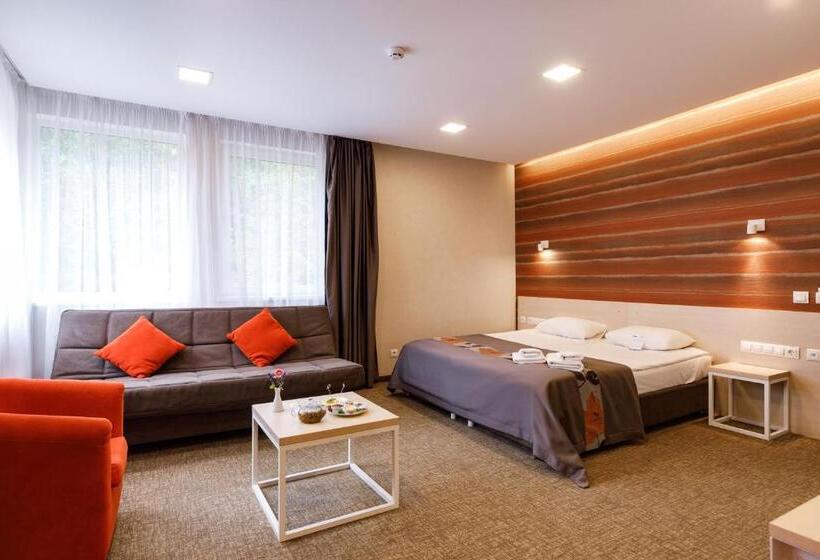 Номер Deluxe, Voevodyno Resort