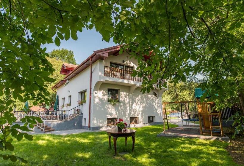 Шале 1 Спальня, Casa Din Plai