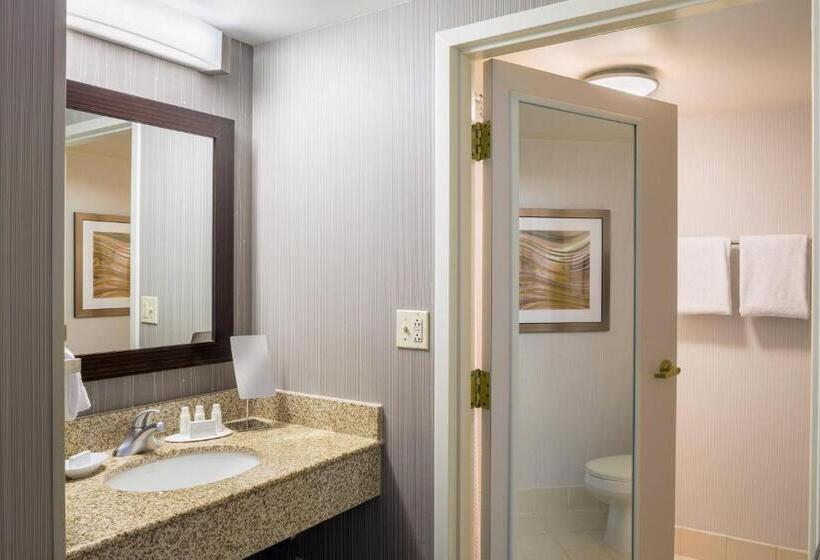 Номер Стандарт Адаптированный для Инвалидов, Courtyard Providence Downtown