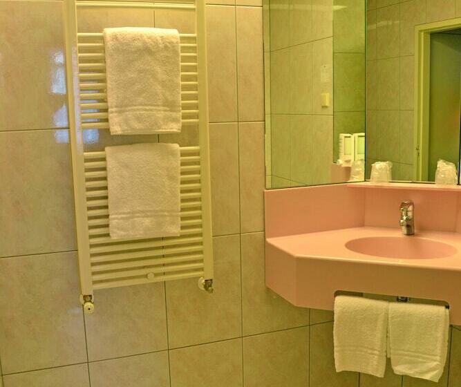 חדר קומפורט, Fletcher Hotel De Zalm