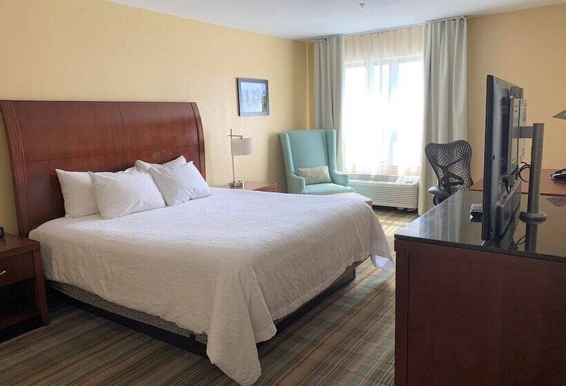 스위트, Hilton Garden Inn Albany Medical Center