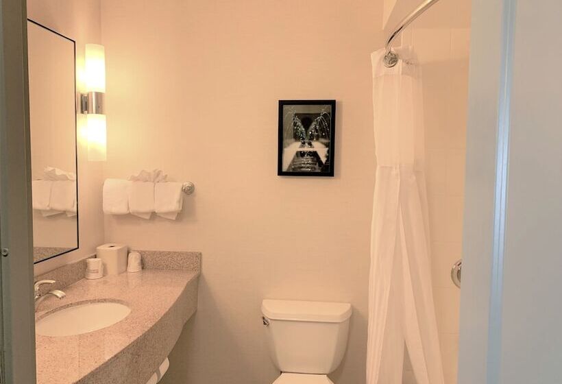 디럭스 스위트, Hilton Garden Inn Albany Medical Center