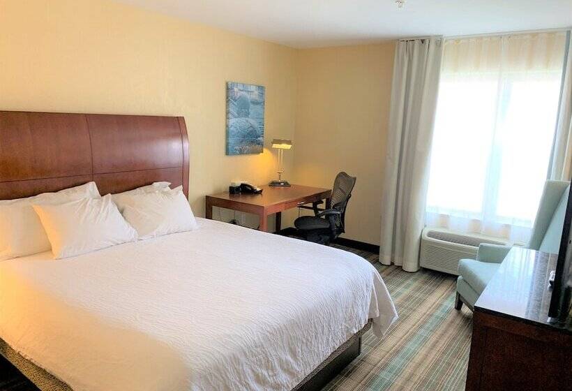 디럭스 스위트, Hilton Garden Inn Albany Medical Center
