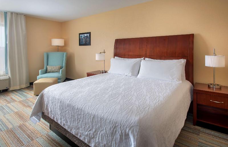 스탠다드 룸 킹사이즈 침대, Hilton Garden Inn Albany Medical Center