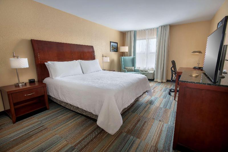 디럭스 스위트, Hilton Garden Inn Albany Medical Center