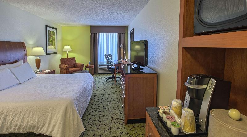 스탠다드 룸 킹사이즈 침대, Hilton Garden Inn Auburn/opelika