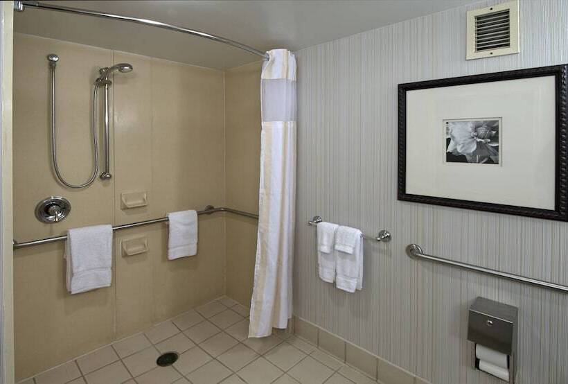장애인을 위한 스탠다드 룸, Hilton Garden Inn Auburn/opelika