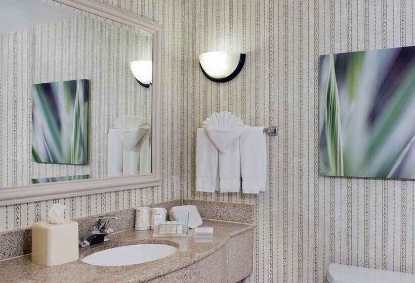 Номер Стандарт, Hilton Garden Inn Charlotte Pineville
