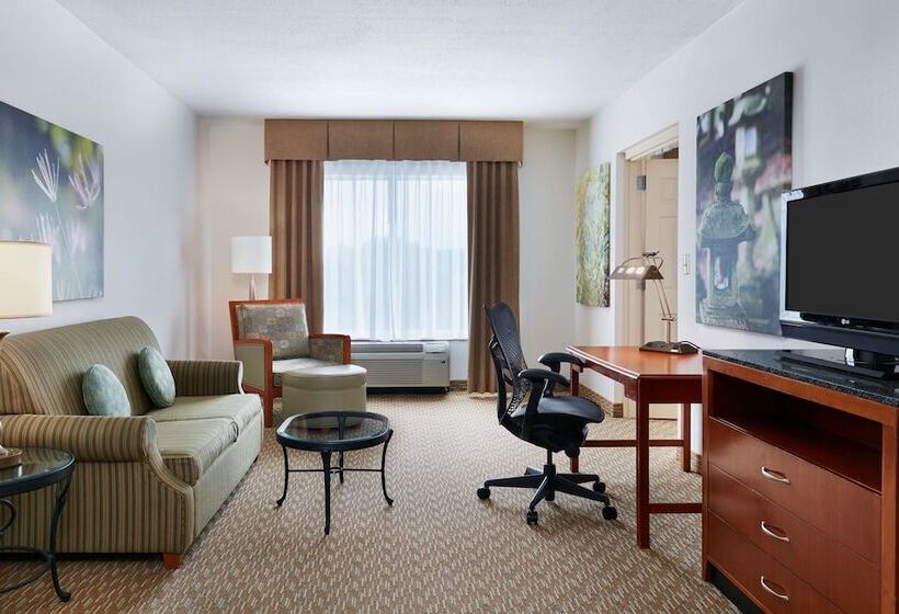 Люкс с гидромассажем, Hilton Garden Inn Charlotte Pineville
