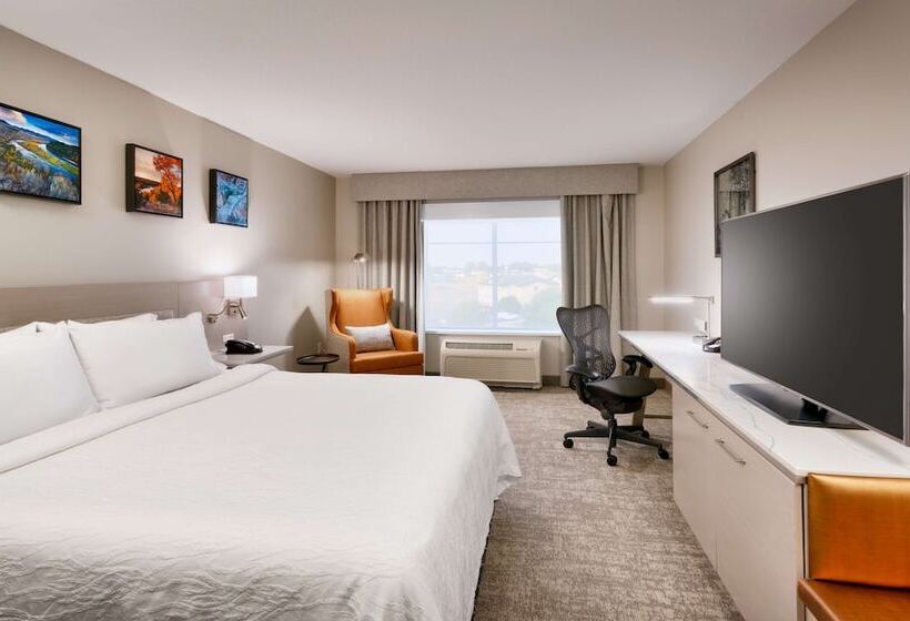Номер Стандарт Двуспальная Кровать, Hilton Garden Inn Idaho Falls