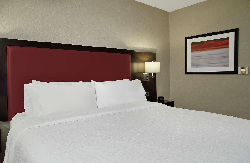 Стандартный Номер Кровать Кинг, Hilton Garden Inn Sonoma County Airport