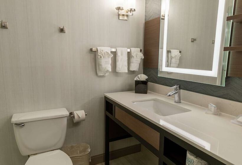 Habitació Estàndard, Hilton Garden Inn Des Moines West