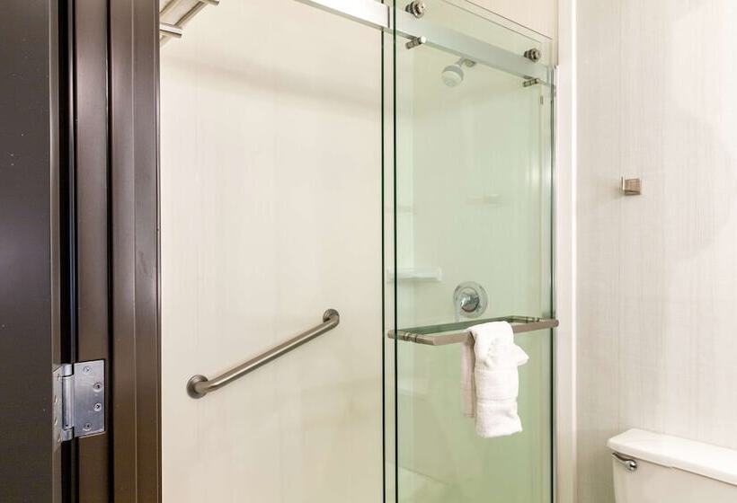 Номер Стандарт, Hilton Garden Inn Des Moines West
