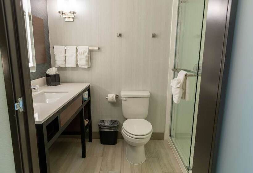 Люкс, Hilton Garden Inn Des Moines West