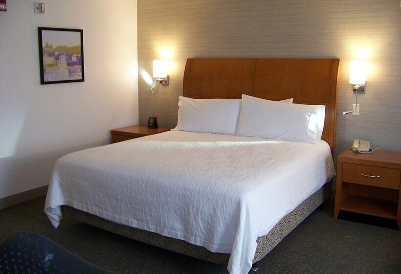 Номер Стандарт Кровать Кинг Адаптированный для Инвалидов, Hilton Garden Inn Des Moines West