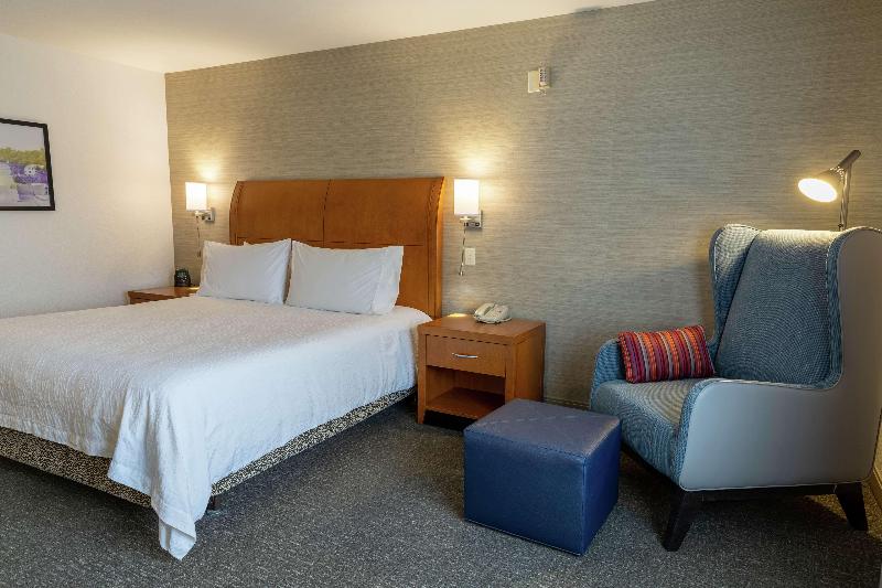 Habitació Estàndard Llit King, Hilton Garden Inn Des Moines West