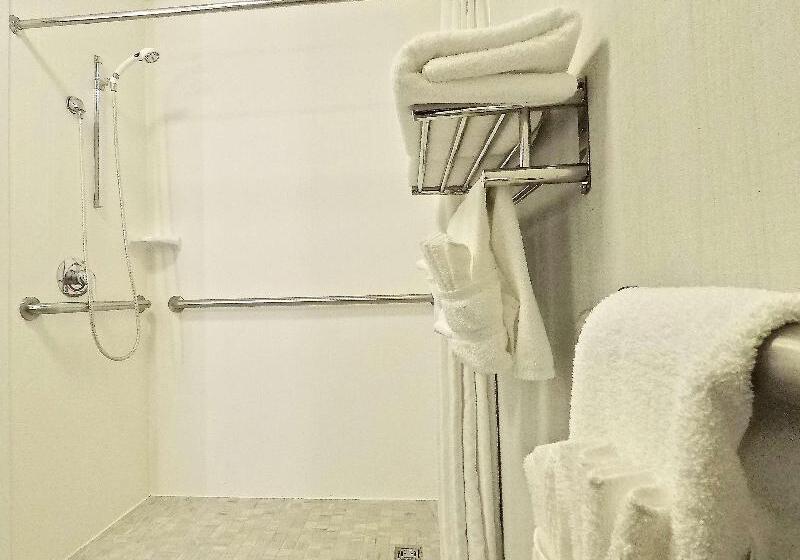 Стандартный Номер Кровать Кинг, Hilton Garden Inn Des Moines West