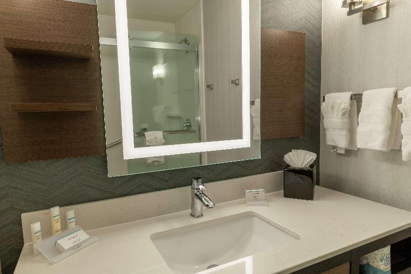 Habitació Estàndard Llit King, Hilton Garden Inn Des Moines West