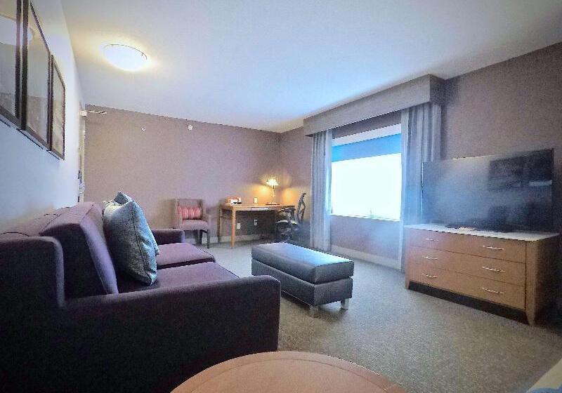 Suit Deluxe, Hilton Garden Inn Des Moines West