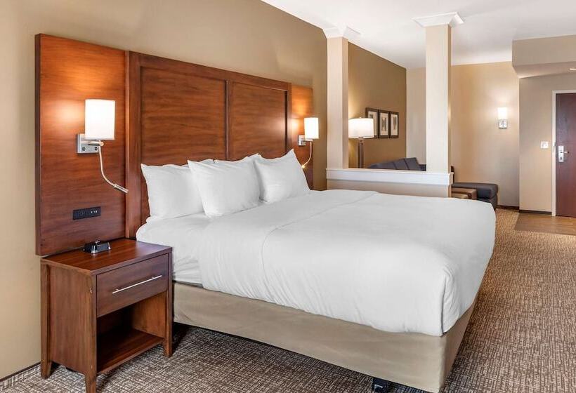 Люкс Адаптированный для Инвалидов, Comfort Inn & Suites
