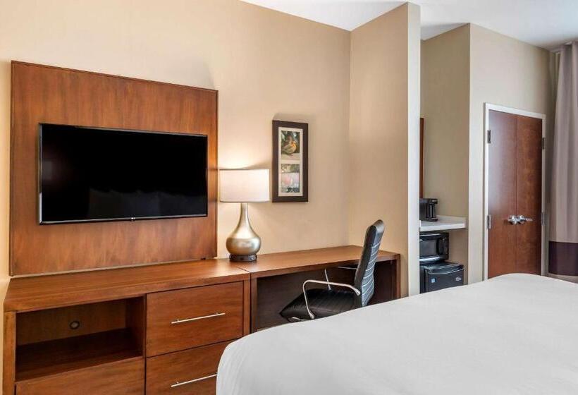 Стандартный Номер Кровать Кинг, Comfort Inn & Suites