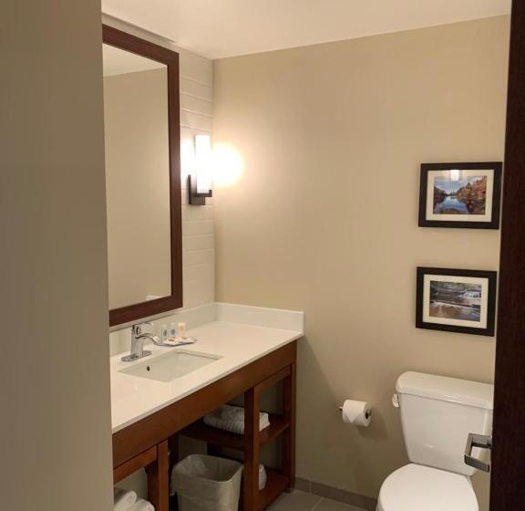 Люкс Адаптированный для Инвалидов, Comfort Inn & Suites