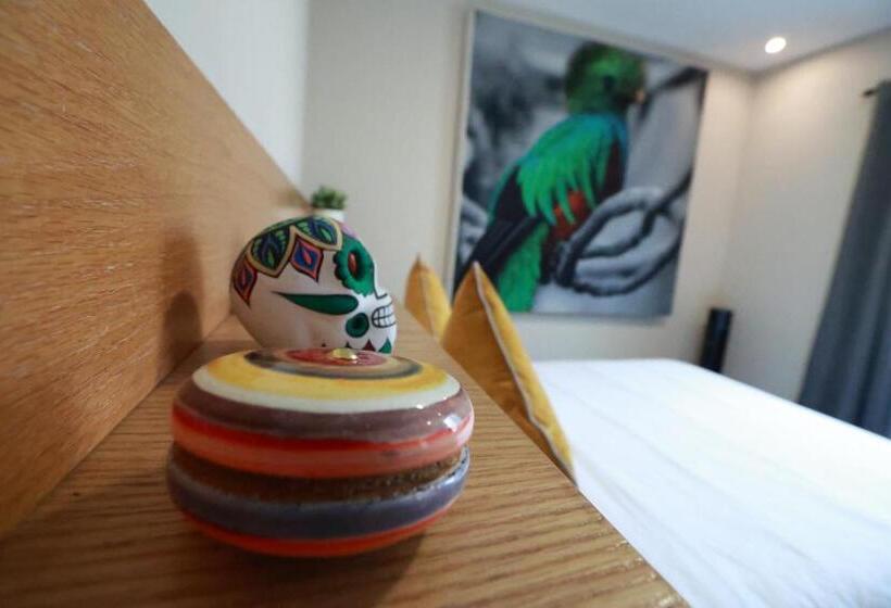 スタンダードルーム, Casa Panuco