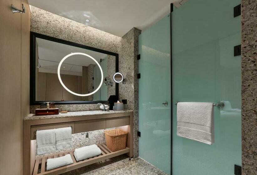 اتاق استاندارد با تخت بزرگ, Hilton Shigatse