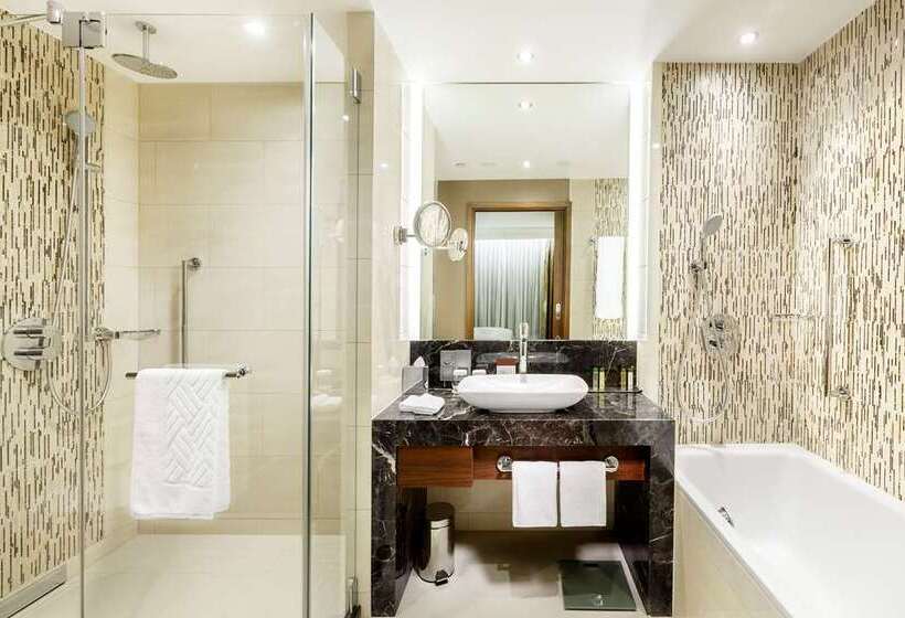 اتاق استاندارد با تخت بزرگ, Hilton Shigatse