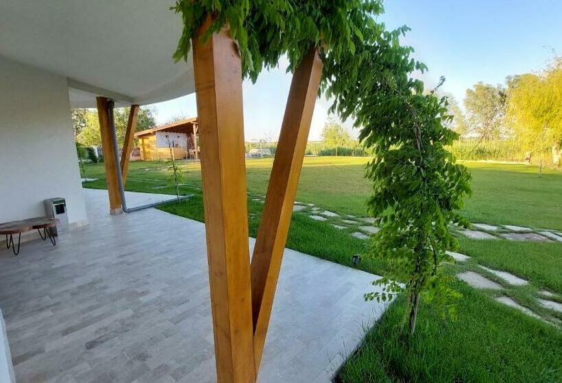 اتاق استاندارد, Pensiunea Nest