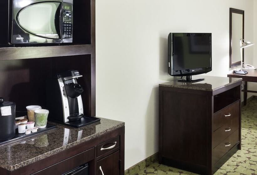 Люкс, Hilton Garden Inn Denver/highlands Ranch