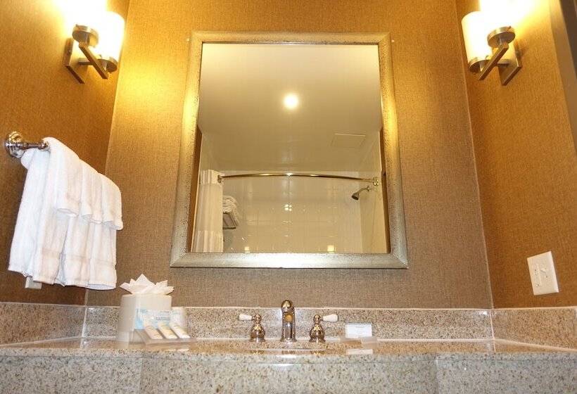 스탠다드 룸, Hilton Garden Inn Houstonpearland