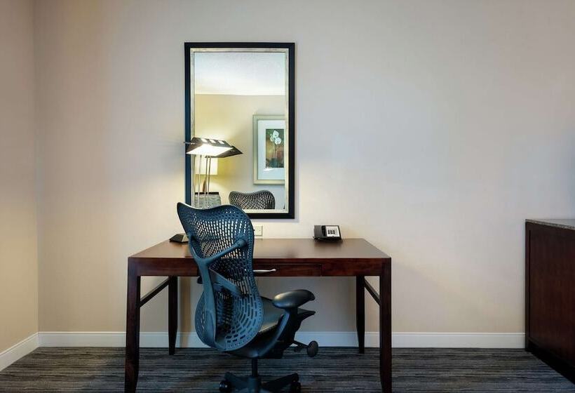 장애인을 위한 스탠다드 룸, Hilton Garden Inn Mobile West I 65/airport Blvd