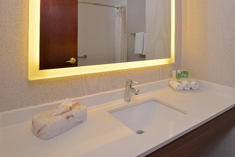 سوئیت با تخت بزرگ, Holiday Inn Express Hotel & Suites Abilene Mall South, An Ihg