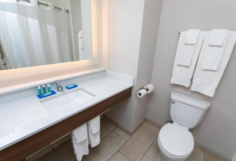 Стандартный Номер Кровать Кинг, Holiday Inn Express Hotel & Suites Athens By Ihg
