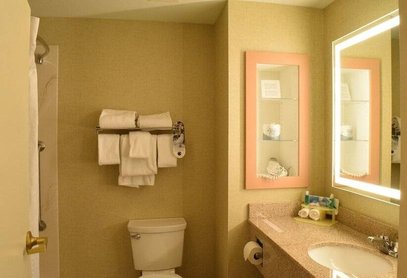 Номер Стандарт 2 Двуспальные Кровати, Holiday Inn Express Hotel & Suites Watertown   Thousand Islands, An Ihg